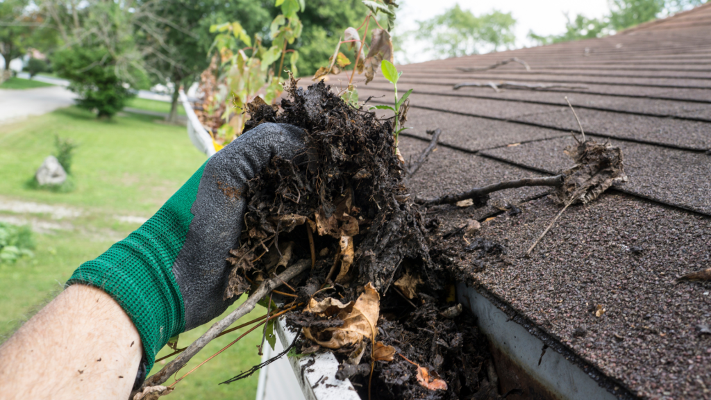 Gutter Services by Blue Falcon Roofing